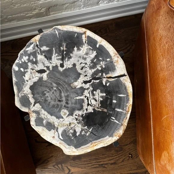 Black and Brown Petrified Wood Side Table - Picture 2 of 4